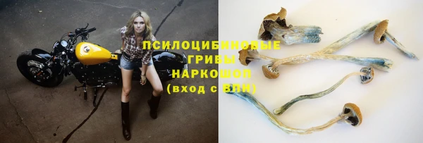 ПСИЛОЦИБИНОВЫЕ ГРИБЫ Алексин