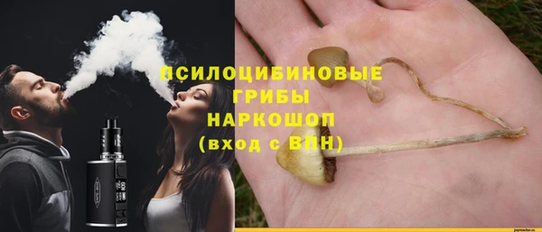 эйфоретик Армянск