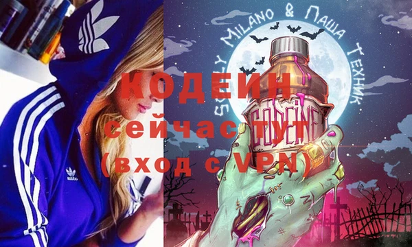 ПСИЛОЦИБИНОВЫЕ ГРИБЫ Алексин