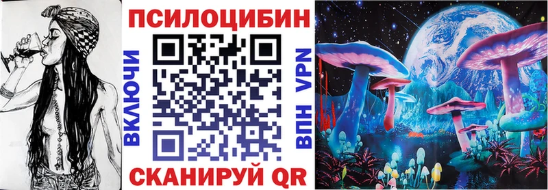 купить   Гудермес  кракен как зайти  Псилоцибиновые грибы прущие грибы 