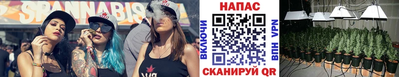 Шишки марихуана OG Kush  мориарти как зайти  Гудермес  blacksprut tor 